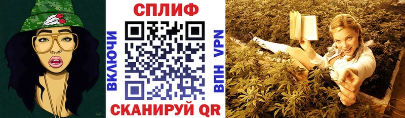 Шишки марихуана планчик  Балахна 